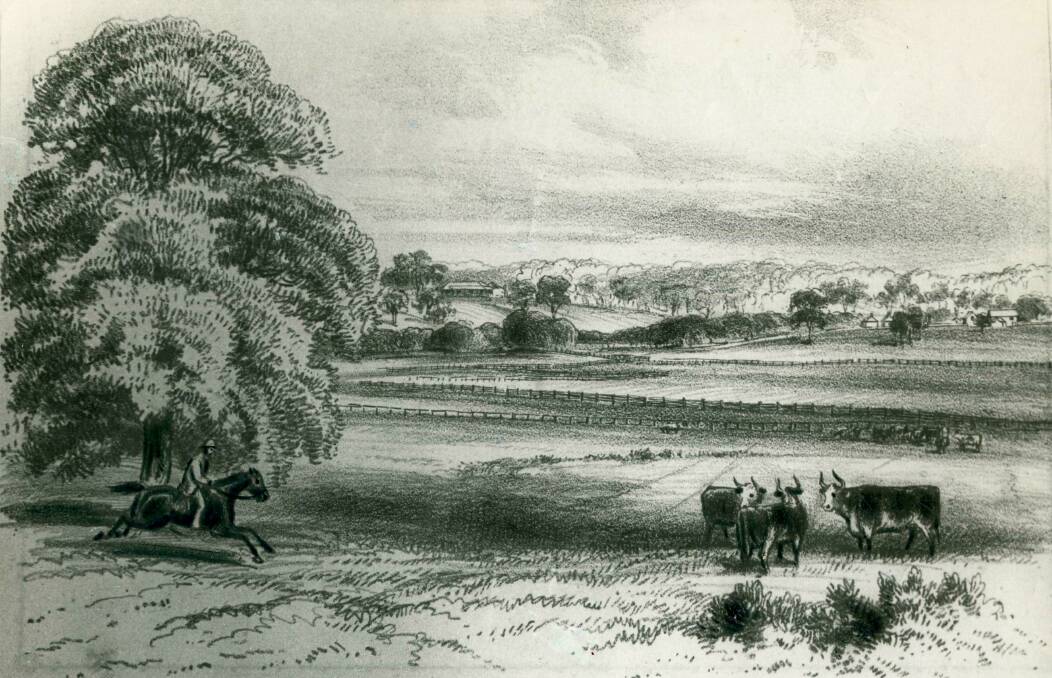 THROSBY PARK: An artist's view of the Bong Bong estate established in 1820s. 
Photos: BDH&FHS