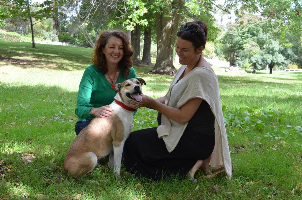 Lee-Ann Wein (left) and Millie catch up with Emma Paloff in the park. 	Photo by Emma Biscoe