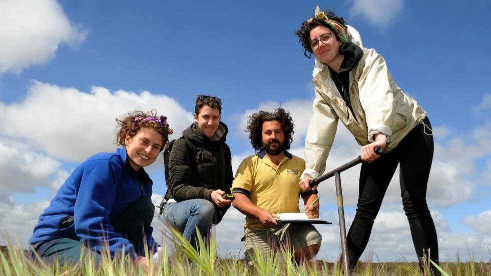 La Trobe University students Millie Scicluna, George Collins, Daniel Young and Emma Sumner work on Greening Australia’s Habitat 141 project at Nurcoung. 