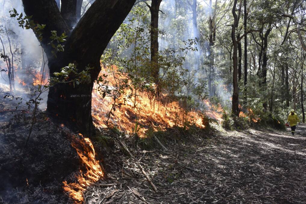 A hazard reduction burn will take place in the Upper Nepean State Conservation Area today. Photo: FDC