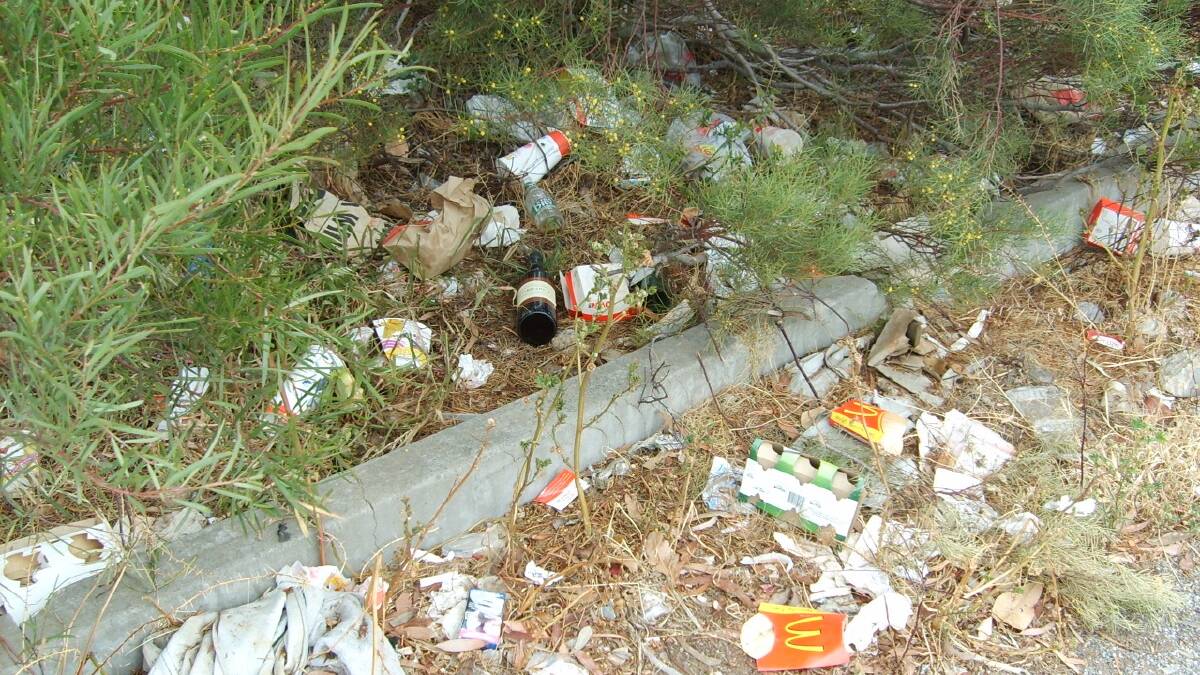 Members of the public can get a litterbug fined