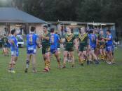 Relief: The Mittagong Lions hold on against the City Kangaroos. Photo: Burney Wong 