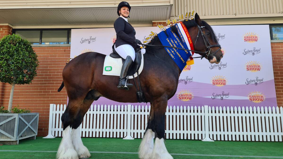 Marulan based Rebecca Ferguson's stallion Apollo wins award at Sydney Royal Easter Show. Pic: Supplied