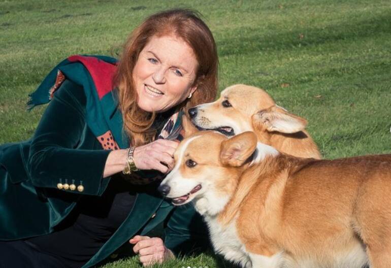 Sarah, the Duchess of York with Queen Elizabeth's beloved corgis Muick and Sandy. Picture by Instagram/@sarahferguson15