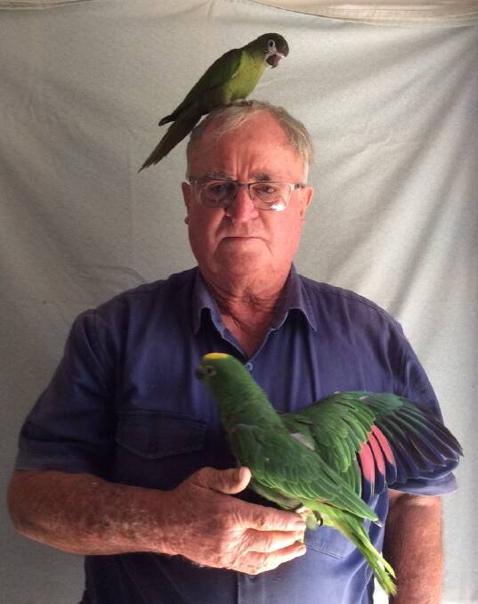 FEATHERS TO FLY: Bill Boyle and friends are looking forward to the bird show on Saturday, April 21 at the Shoalhaven/Nowra PCYC.