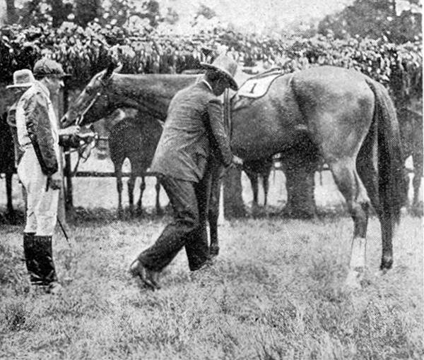 CHAMPION: Chiefswood was a Bong Bong race winner in one of the first years.
