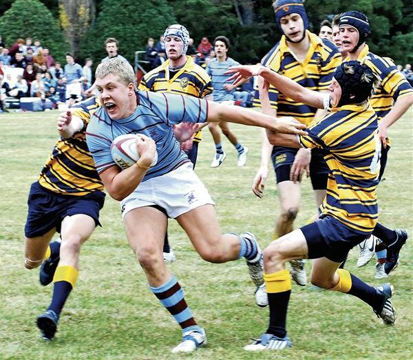 MAN MOUNTAIN: Chevalier’s number eight and Broncos recruit Daniel “Chugga” Alvaro breaks through for his first try in Chev’s 41-7 demolition of Blue Mountains Grammar on Saturday.