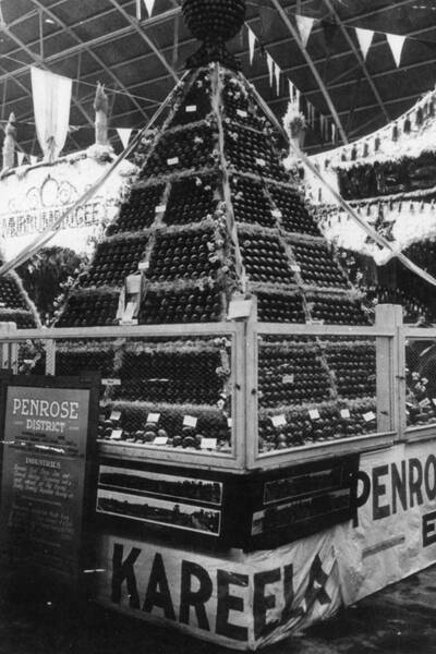 FIRST PRIZE: Penrose fruit won awards at the Royal Easter Show in the 1920s. Photo: BDH