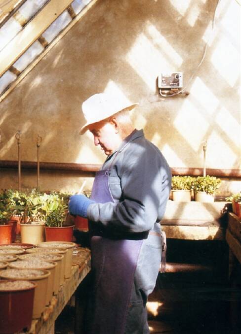 Claude in his nursery glasshouse in 1998. Photograph courtesy of Highlife Magazine